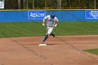 Baseball vs Babson  Wheaton College Baseball vs Babson during Championship game of the NEWMAC Championship hosted by Wheaton. - (Photo by Keith Nordstrom) : Wheaton, baseball, NEWMAC